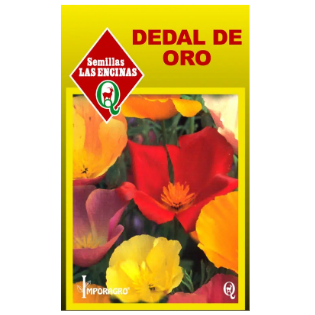 Dedal de Oro