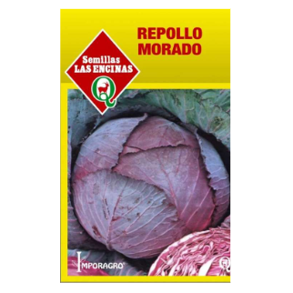 Repollo Morado