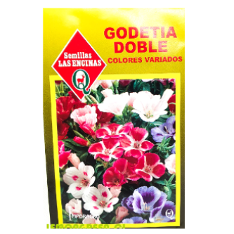 Godetia Doble