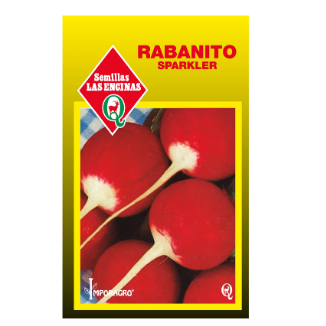 Rabanito