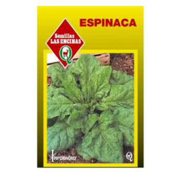 Espinaca