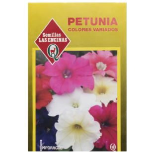 Petunia