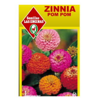 Zinnia Pom-Pom