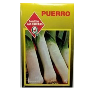 Puerro