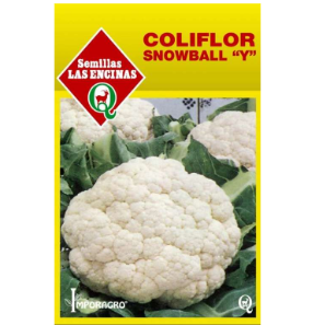 Coliflor "Y"