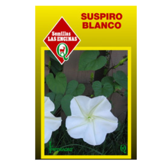 Suspiro Blanco