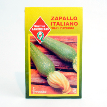 Zapallo Italiano