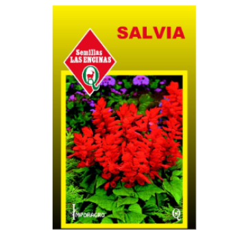 Salvia de Colores