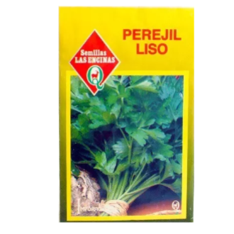 Perejil Liso