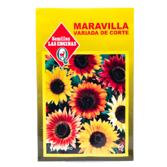 Maravilla