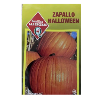 Zapallo Halloween