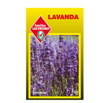 Lavanda