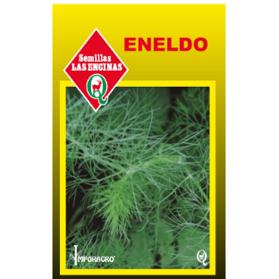 Eneldo