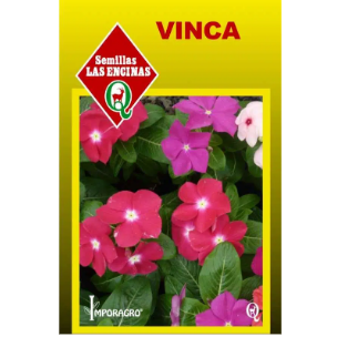 Vinca